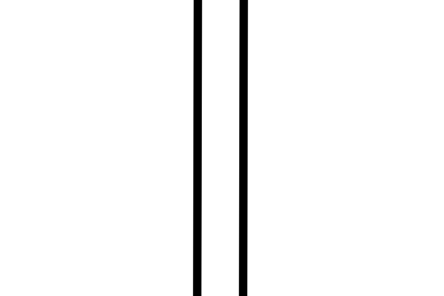 Rayita Vertical YaPo